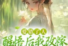爱错了人,醒悟后我改嫁权王你哭啥大结局,唐瑈嘉秦斯珩小说无广告阅读-红妆文学