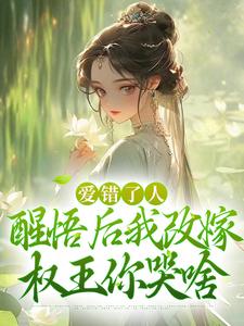 爱错了人，醒悟后我改嫁权王你哭啥大结局，唐瑈嘉秦斯珩小说无广告阅读