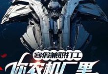 寒假兼职打工，你农机厂里开出空天航母？（季成）最新章节免费在线阅读-红妆文学