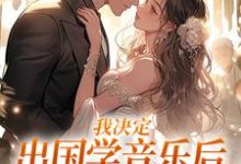 我决定出国学音乐后，大律师后悔了（宋棉贺淮川）完结版免费阅读-红妆文学