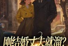 刚结婚丈夫就溜?姐真不吃人!(丁遥香陆舰)最新章节免费在线阅读-红妆文学