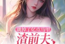 求助这本就掉了亿点马甲，渣前夫哭着求复婚小说在哪里可以看完结版-红妆文学