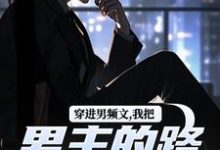 穿进男频文，我把男主的路给堵了！免费阅读(陆池苏语念)小说免费读最新章节-红妆文学