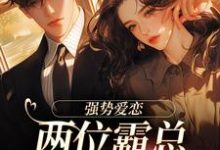 求助这本纵意沉沦小说在哪里可以看完结版-红妆文学