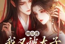 求助这本刚出逃，我又被太子绑回来了小说在哪里可以看完结版-红妆文学