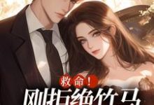 跪求主角是陆初然闻白宴的小说书名叫什么-红妆文学