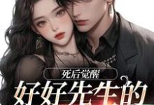 好好先生的真实面目（主角连薰晏落）完结版免费阅读-红妆文学