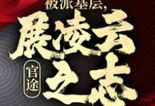 官途：被派基层，展凌云之志免费阅读，楚昊宇大结局无弹窗-红妆文学