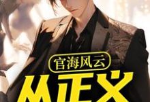 官海风云：从正义开始在线看，何强小说大结局在哪免费看-红妆文学