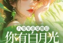 八零军花觉醒后，你有白月光我改嫁小说最新章节在哪里可以免费看-红妆文学