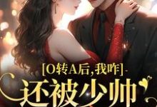 O转A后，我咋还被少帅强取豪夺了免费阅读，池影霍时晏大结局无弹窗-红妆文学