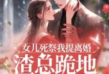 顾星瑶霍长临在线阅读，女儿死祭我提离婚，渣总跪地求别分小说完结版章节-红妆文学