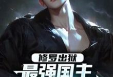 完结版修罗出狱：最强国主身份震撼世界在哪免费看，叶枫小说在线阅读-红妆文学