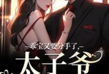 主角是江颜厉霆骁的小说乖宝又要分手了，太子爷求贴贴在哪免费看-红妆文学