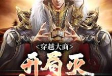 完结版穿越大商，开局灭十万叛军在哪免费看，殷寿姬发小说在线阅读-红妆文学