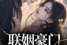 联姻豪门继承人后，我逃婚了！精彩章节阅读(沈心姿陆仲廷)免费阅读大结局-红妆文学