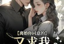 离婚你同意的，又求我复婚干什么最新章节离婚你同意的，又求我复婚干什么在线阅读-红妆文学