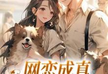 小说网恋成真，这小子乐癫了主角苏念初司徒铮免费阅读-红妆文学