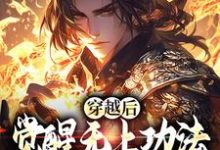 穿越后，觉醒无上功法的我要复仇了完结版宋终免费阅读大结局-红妆文学