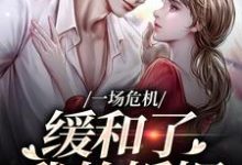 精彩章节阅读一场危机，缓和了我的婚姻(南迦北铮)免费小说在线看-红妆文学