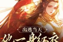 求助这本出逃当天，他一身红衣抢掳我小说在哪里可以看完结版-红妆文学