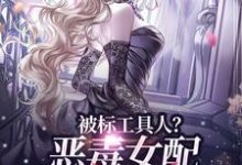 宋以宁许继琛最新章节被标工具人？恶毒女配甩男主求自由免费阅读-红妆文学