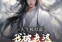 白棋陈北玄小说免费阅读最新章节列表，人生模拟器：我被老婆逼成世间极境小说在线看-红妆文学