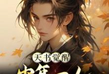 小说天书觉醒：少年一人一棍斩仙帝（柳如月陈天极）最新章节在哪看-红妆文学