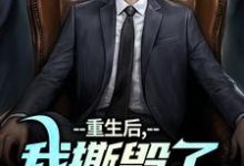 完结版重生后,我撕毁了离婚协议书在哪免费看,陆泽白糯小说在线阅读-红妆文学