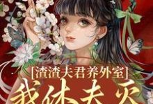 精彩章节阅读渣渣夫君养外室，我休夫灭妾另高嫁(叶宛卿萧时衍)免费小说在线看-红妆文学