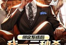 绑定系统后，我一元秒杀一辆奔驰免费阅读，林帆唐若冰大结局无弹窗-红妆文学