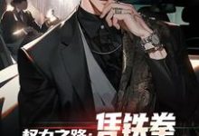权力之路：凭铁拳，我令黑势力退避免费阅读(步青云王东林)小说免费读最新章节-红妆文学