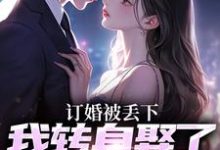 精彩章节阅读订婚被丢下，我转身娶了娇娇千金(江辰苏密)免费小说在线看-红妆文学