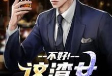 主人公是顾迟云云晚晚的小说不好！这渣女要虐死了免费阅读-红妆文学