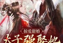 掠爱甜婚：太子强娶她入东宫大结局，贺玥宁如颂小说无广告阅读-红妆文学