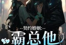 契约婚姻：霸总他超会宠（主角苏锐秦众）完结版免费阅读-红妆文学