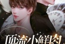 顶流小鲜肉每天只想官宣（主角梦泽）完结版免费阅读-红妆文学