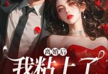 离婚后,我粘上了那位大佬(舒愿陆骁)完结版免费阅读-红妆文学