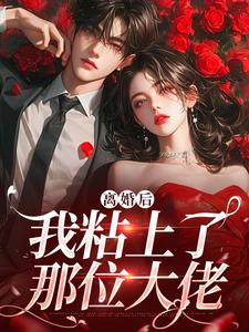 离婚后，我粘上了那位大佬（舒愿陆骁）完结版免费阅读