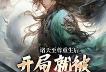 诸天至尊重生后，开局就被频频挑衅（顾云）最新章节在线阅读-红妆文学