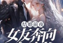 小说结婚前夜,女友奔向白月光主角秦凯免费阅读-红妆文学