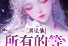 小说遇见他，所有的等待都值得主角夏颜谭正东免费阅读-红妆文学