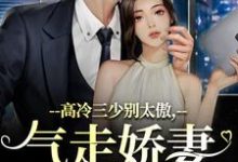 高冷三少别太傲,气走娇妻你完了!(主角江晚宁庄凌洲)完结版免费阅读-红妆文学