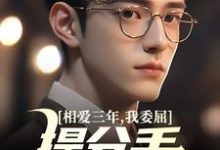 相爱三年,我委屈提分手他红了眼(苏清荷沈砚)完结版免费阅读-红妆文学