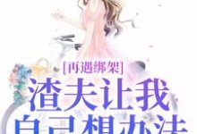 再遇绑架，渣夫让我自己想办法免费阅读，苏夏顾帆大结局无弹窗-红妆文学