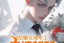 主人公是苏尘顾轻雪的小说结婚五周年，老婆却和白月光狂欢免费阅读-红妆文学