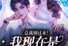 总裁别过来！我现在是事业上升期热门小说(陆绾绾沈俞瑾)在线阅读无弹窗-红妆文学