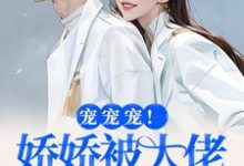 宠宠宠！娇娇被大佬拿命宠完结版叶初夏陆执免费阅读大结局-红妆文学