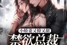 完结版小娇妻又撩又甜，禁欲总裁宠上瘾在哪免费看，江熹季向聿小说在线阅读-红妆文学