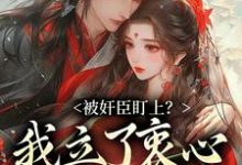 被奸臣盯上?我立了衷心小弟人设!无弹窗秦烟年沈知也最新章节列表-红妆文学